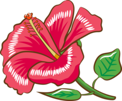 hibisco png gráfico clipart diseño