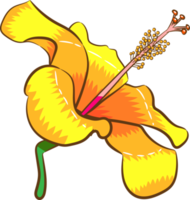 hibisco png design de clipart gráfico