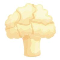 Agriculture cauliflower icon cartoon vector. Cabbage food vector