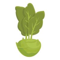 Nature kohlrabi icon cartoon vector. Cabbage plant vector