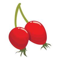 Autumn rosehip icon cartoon vector. Berry food vector