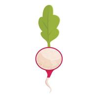 Radish root icon cartoon vector. Food salad vector