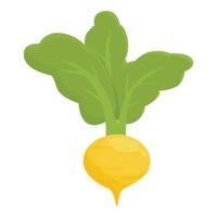 Cooking root icon cartoon vector. Green turnip vector