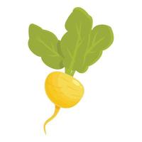 Vegetable turnip icon cartoon vector. Green root vector