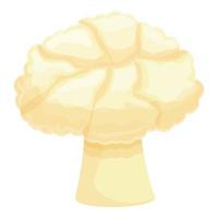 Cooking cauliflower icon cartoon vector. Cabbage food vector