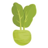 Fresh kohlrabi icon cartoon vector. Healthy food vector