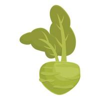 Kohlrabi plant icon cartoon vector. Healthy vegetable vector