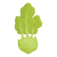 Farm kohlrabi icon cartoon vector. Healthy food vector