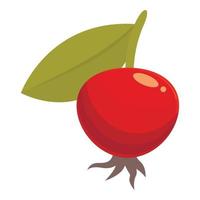 Harvest rosehip icon cartoon vector. Berry food vector