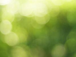 Natural outdoors bokeh background in green and yellow tones, Blurred green tree leaf background with bokeh photo