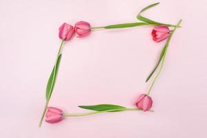 Pink tulips with stems in form of frame. March 8, International Women's, Mother's Day, birthday, spring. Copy space photo