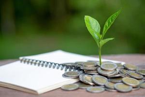 coins and money growing plant for finance and banking, saving money or interest increasing concept, Business growth photo