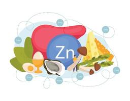 composición de alimentos de zinc vector