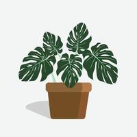 Monstera in a flower pot isolated. Tropical plant for interior vector