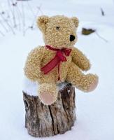 soft toy bear sitting on a stump photo