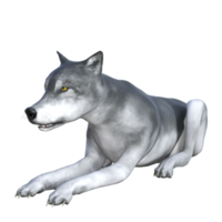 lobo isolado render 3d png