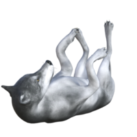 lupo isolato 3d rendere png