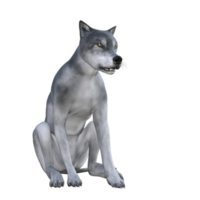 Wolf isolated 3d render png