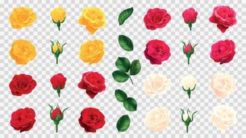 Rose Flower Constructor Set vector