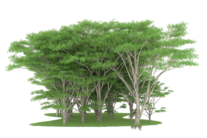 Realistic forest isolated on transparent background. 3d rendering - illustration png