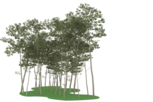 floresta realista isolada em fundo transparente. renderização 3D - ilustração png