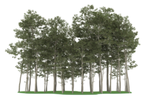 Realistic forest isolated on transparent background. 3d rendering - illustration png