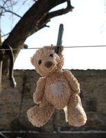 old teddy bear hanging on a clothesline photo