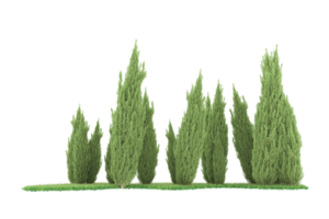 forêt réaliste isolée sur fond transparent. rendu 3d - illustration png