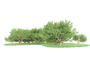 Realistic forest isolated on transparent background. 3d rendering - illustration png