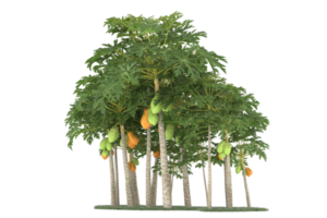 Realistic forest isolated on transparent background. 3d rendering - illustration png