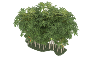 realistischer wald lokalisiert auf transparentem hintergrund. 3D-Rendering - Abbildung png