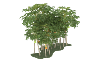 Realistic forest isolated on transparent background. 3d rendering - illustration png