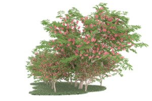 Realistic forest isolated on transparent background. 3d rendering - illustration png