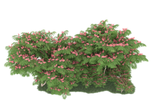 forêt réaliste isolée sur fond transparent. rendu 3d - illustration png