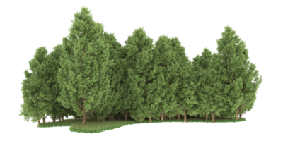 forêt réaliste isolée sur fond transparent. rendu 3d - illustration png