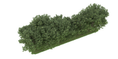 forêt réaliste isolée sur fond transparent. rendu 3d - illustration png