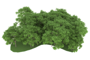 Realistic forest isolated on transparent background. 3d rendering - illustration png