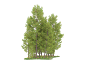 Realistic forest isolated on transparent background. 3d rendering - illustration png