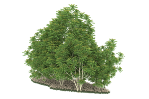 Realistic forest isolated on transparent background. 3d rendering - illustration png