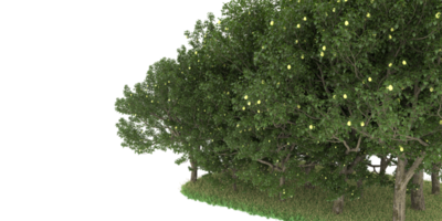 Realistic forest isolated on transparent background. 3d rendering - illustration png