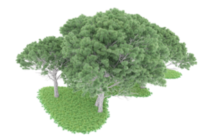 Realistic forest isolated on transparent background. 3d rendering - illustration png