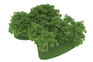 Realistic forest isolated on transparent background. 3d rendering - illustration png