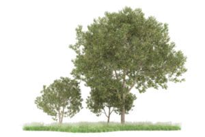 Realistic forest isolated on transparent background. 3d rendering - illustration png