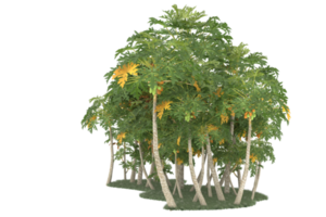 Realistic forest isolated on transparent background. 3d rendering - illustration png