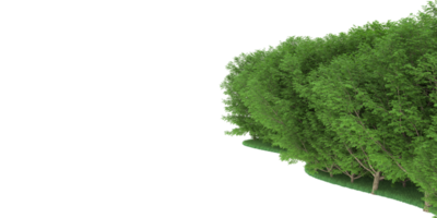 forêt réaliste isolée sur fond transparent. rendu 3d - illustration png