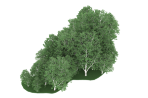 forêt réaliste isolée sur fond transparent. rendu 3d - illustration png