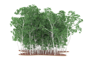 Realistic forest isolated on transparent background. 3d rendering - illustration png