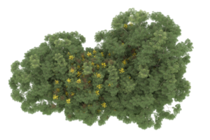 forêt réaliste isolée sur fond transparent. rendu 3d - illustration png