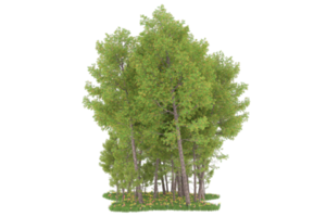 Realistic forest isolated on transparent background. 3d rendering - illustration png