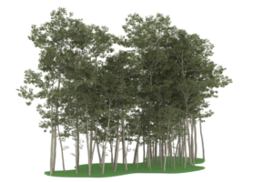 Realistic forest isolated on transparent background. 3d rendering - illustration png